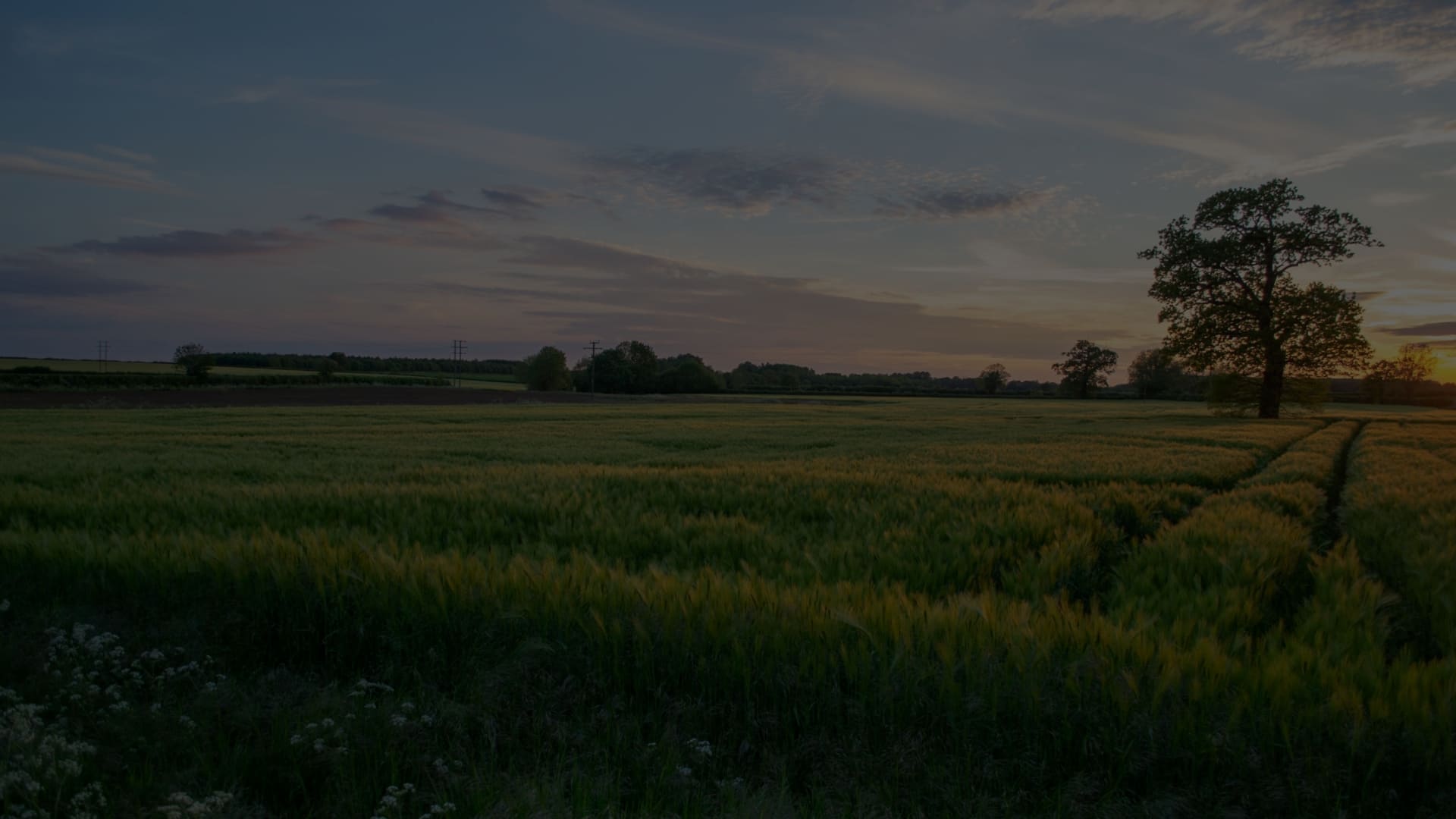 Comune di Santa Cristina e Bissone Museo Contadino